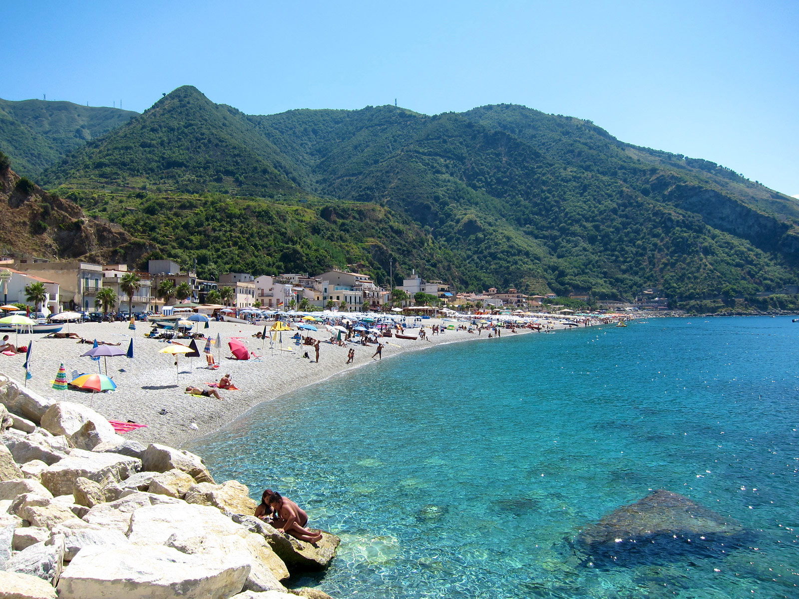 Scilla